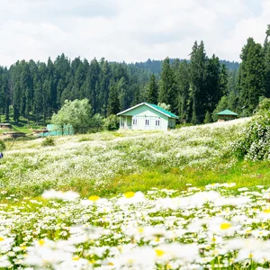 Srinagar