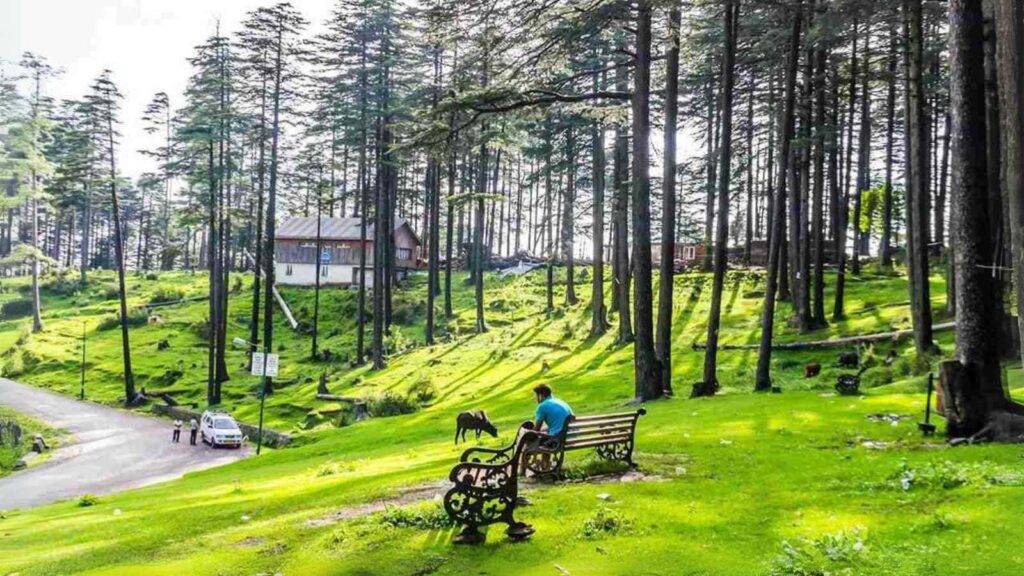 A man sits on a bench in a peaceful forest, with a house, car, and person with a dog reflecting a Jammu Kashmir Tour package.